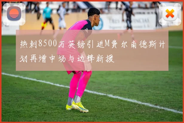 热刺8500万英镑引进M费尔南德斯计划再增中场与边锋新援