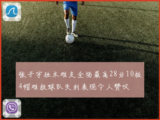 张子宇独木难支全场最高28分10板4帽难救球队失利表现令人赞叹